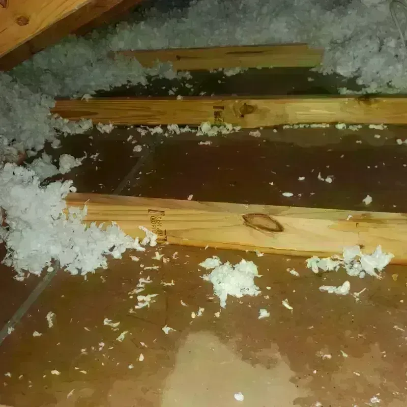 Attic Water Damage in El Dorado, AR