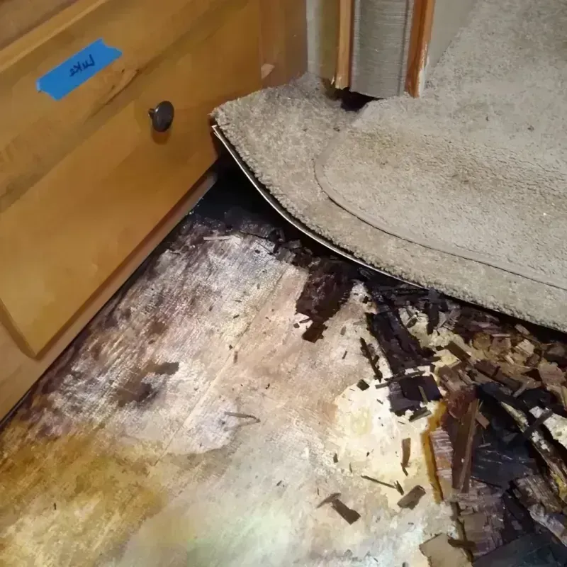 Wood Floor Water Damage in El Dorado, AR